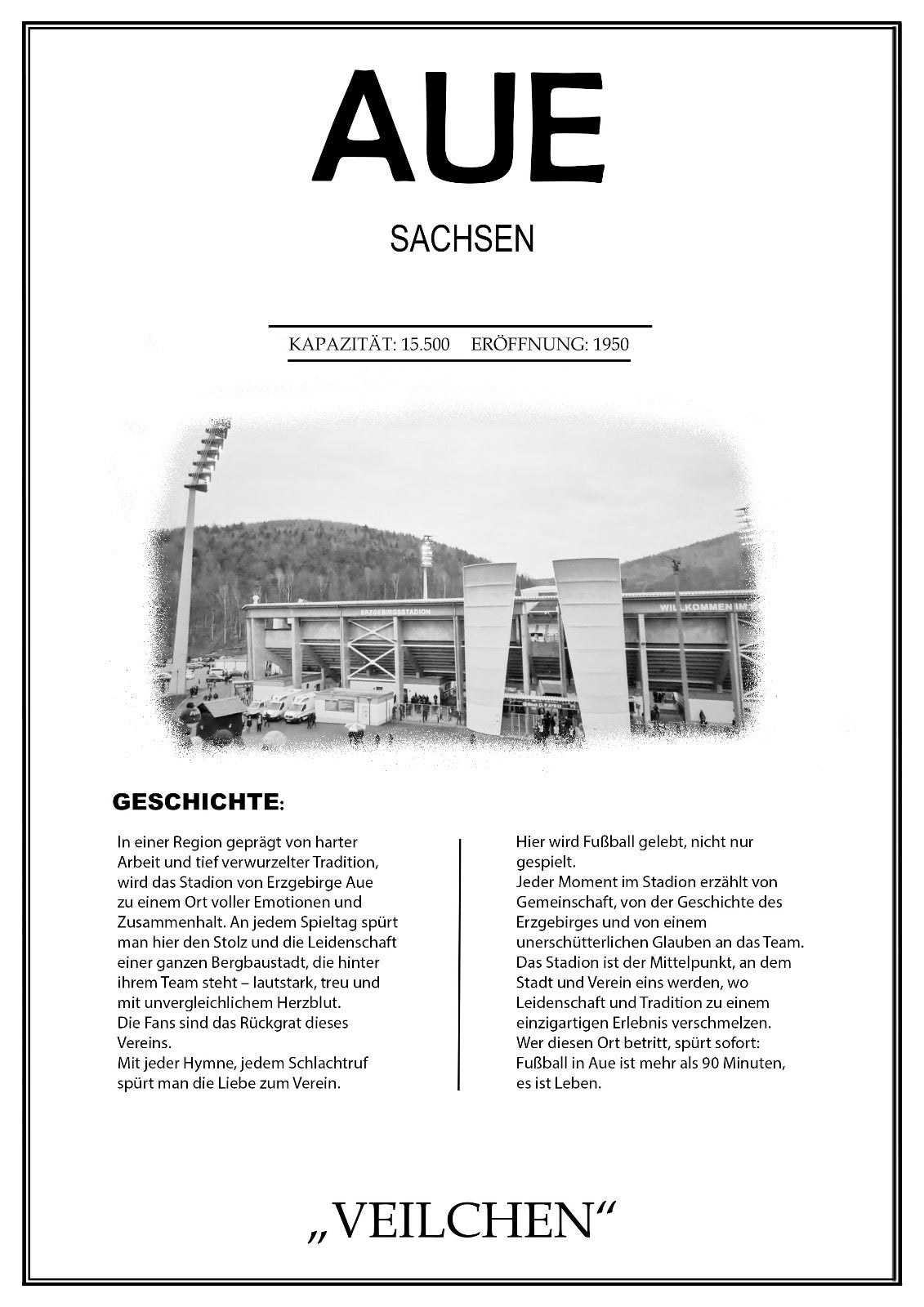 Aue Stadion Leinwand