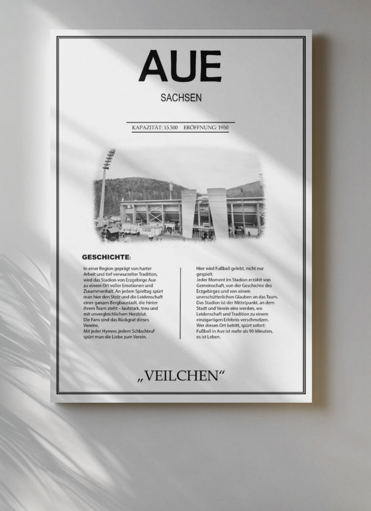 Aue Stadion Leinwand
