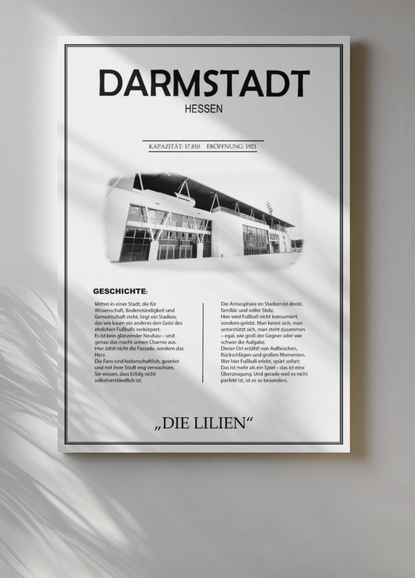 Darmstadt Stadion Leinwand