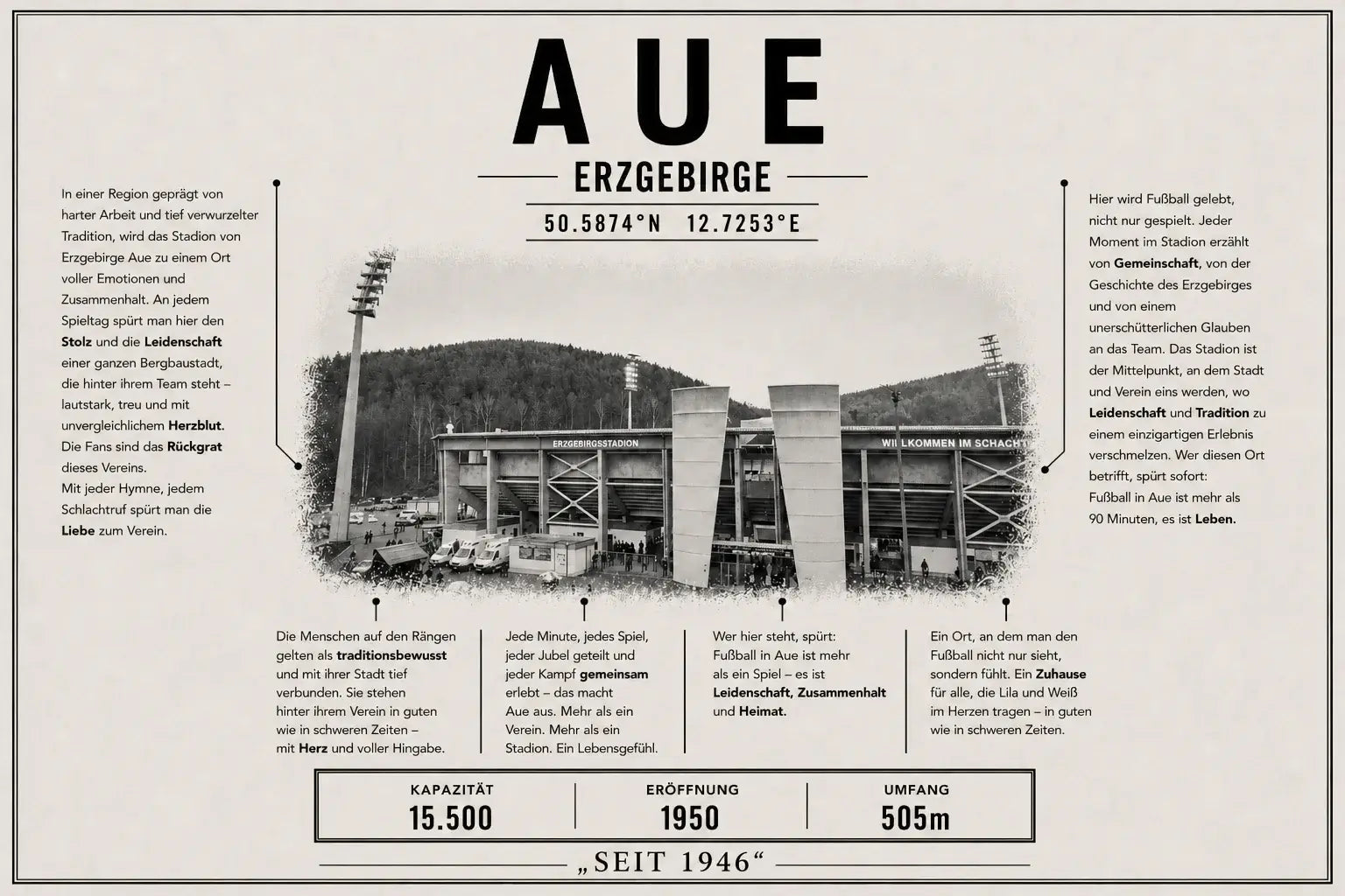 Aue Stadion Leinwand