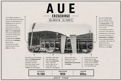 Aue Stadion Leinwand