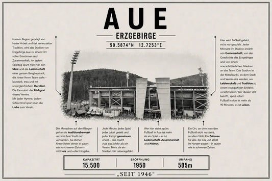 Aue Stadion Leinwand