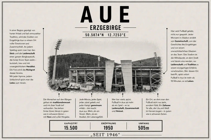 Aue Stadion Leinwand