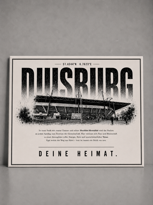 Duisburg Stadion Leinwand