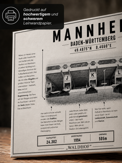 Mannheim Stadion Leinwand