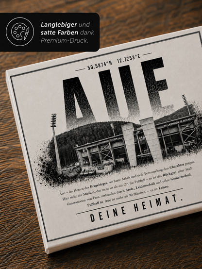 Aue Stadion Leinwand