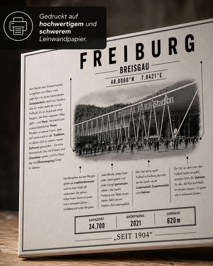 Freiburg Stadion Leinwand