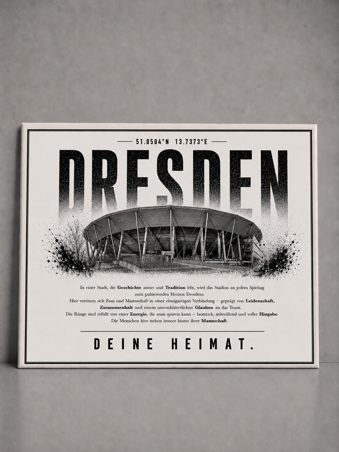 Dresden Stadion Leinwand