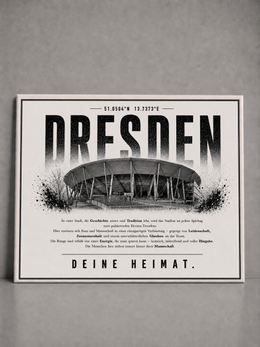 Dresden Stadion Leinwand