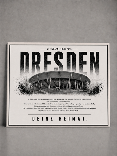 Dresden Stadion Leinwand