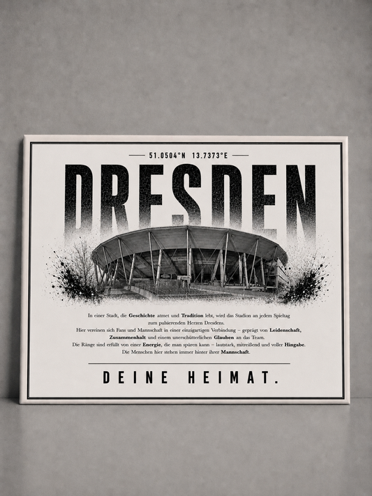 Dresden Stadion Leinwand