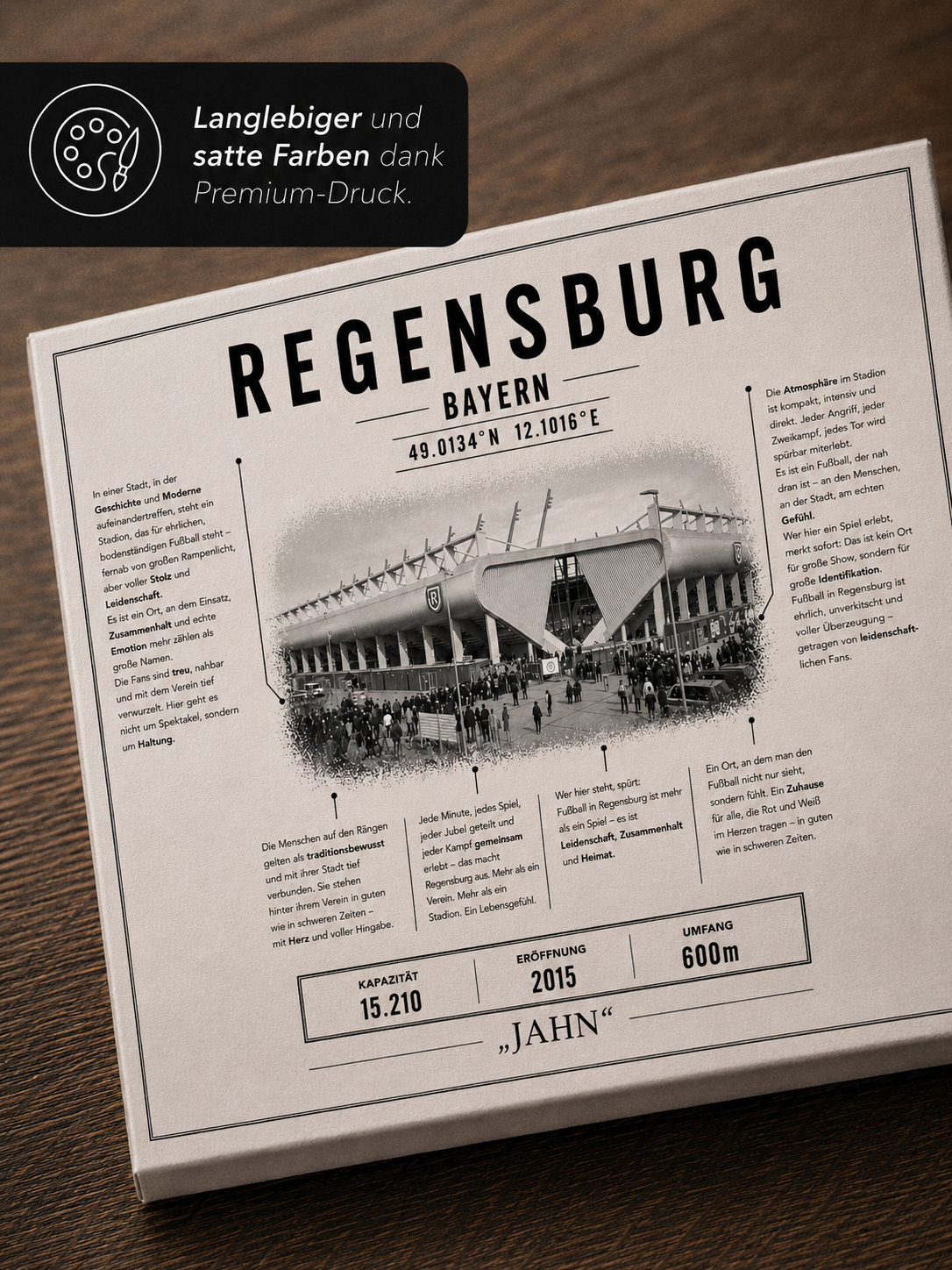 Regensburg Stadion Leinwand