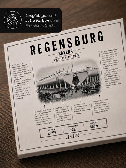 Regensburg Stadion Leinwand