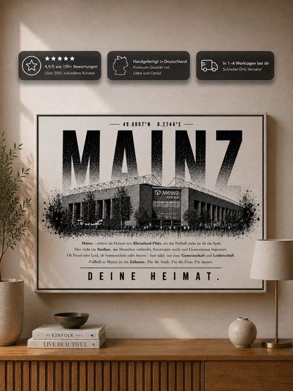Mainz Stadion Leinwand