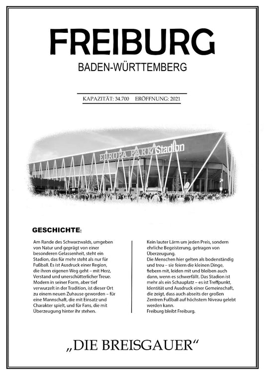 Freiburg Stadion Leinwand
