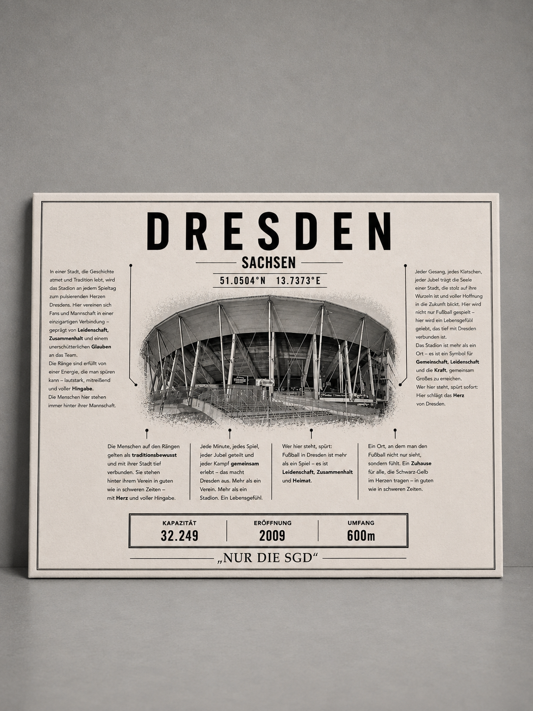 Dresden Stadion Leinwand