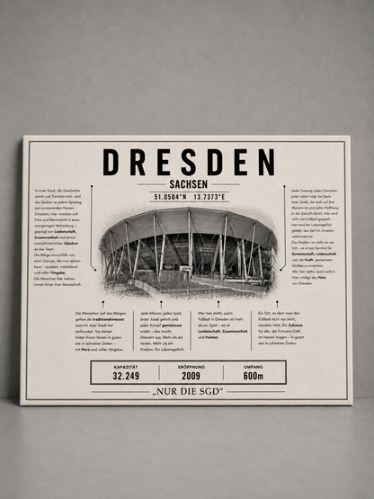 Dresden Stadion Leinwand