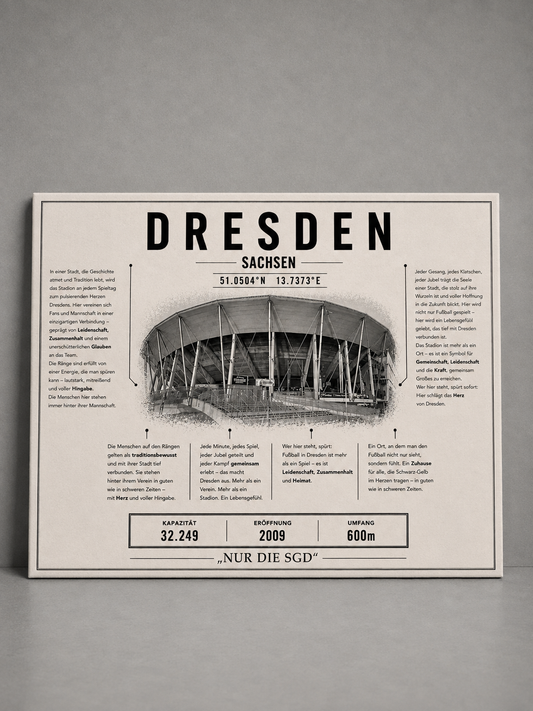 Dresden Stadion Leinwand