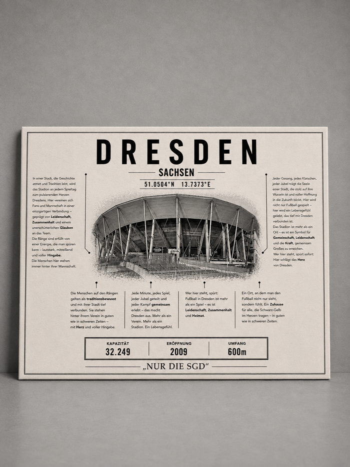 Dresden Stadion Leinwand