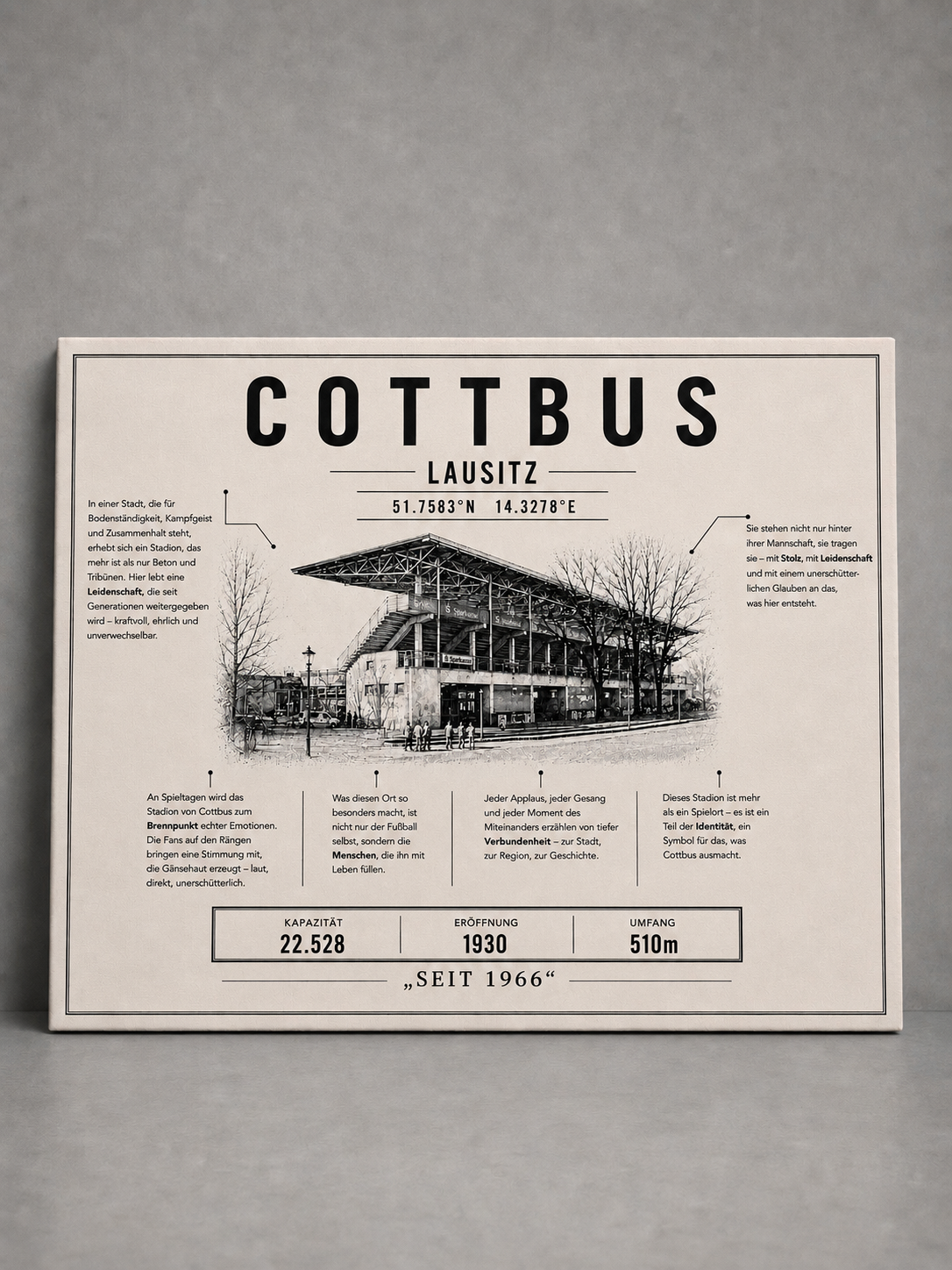 Cottbus Stadion Leinwand