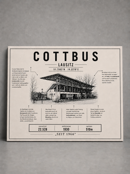 Cottbus Stadion Leinwand
