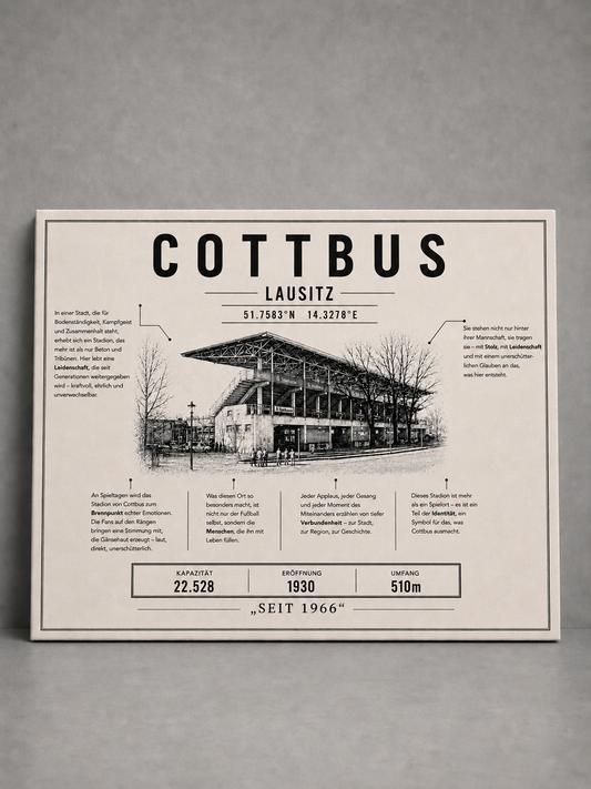 Cottbus Stadion Leinwand