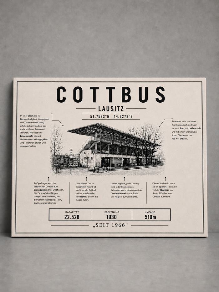 Cottbus Stadion Leinwand