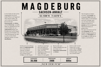 Magdeburg Stadion Leinwand