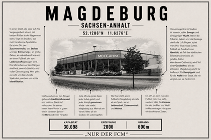 Magdeburg Stadion Leinwand
