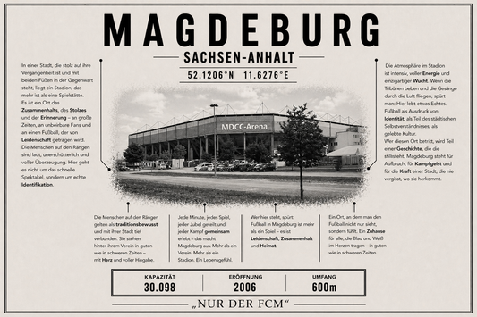 Magdeburg Stadion Leinwand