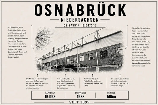 Osnabrück Stadion Leinwand