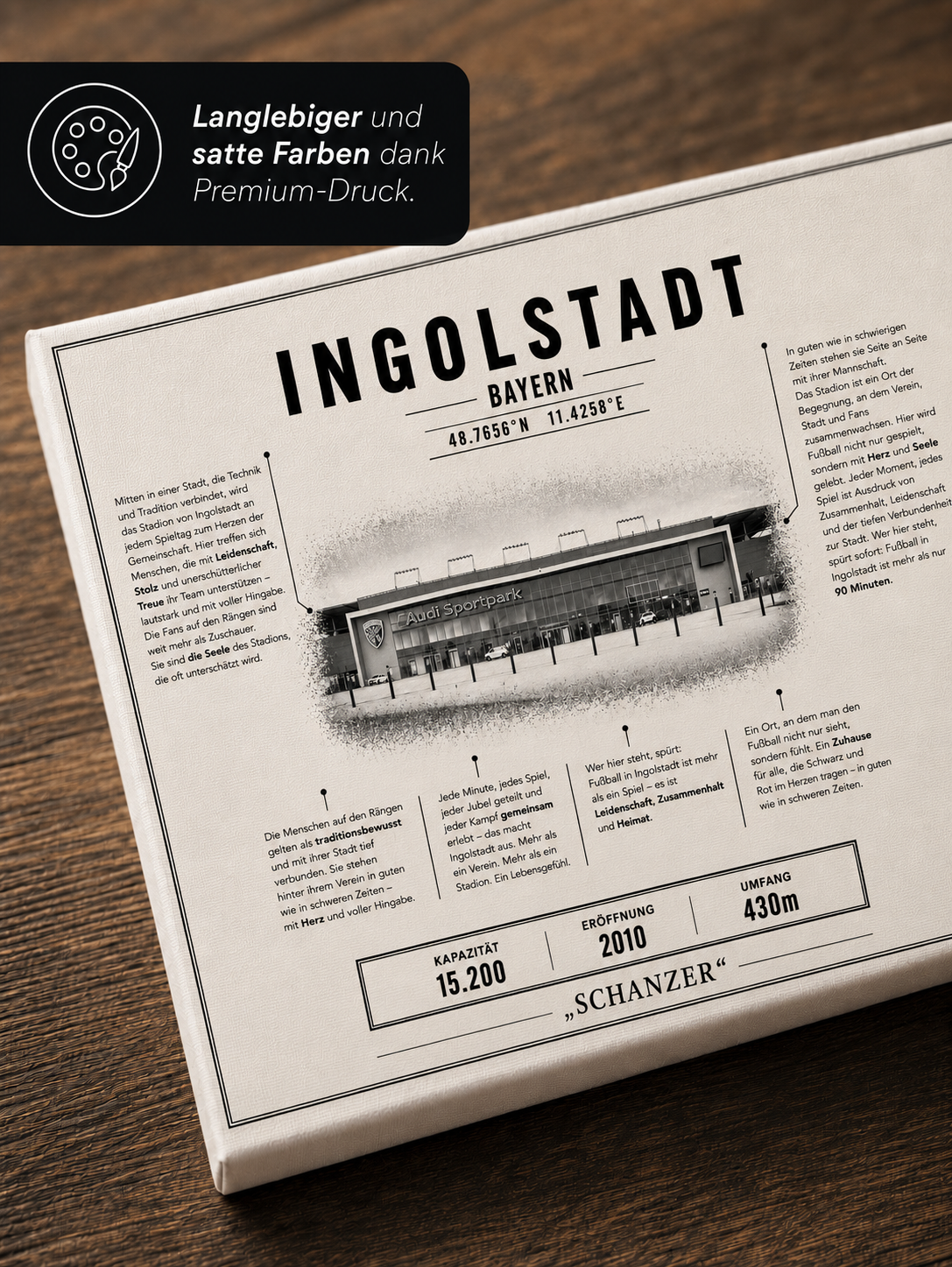 Ingolstadt Stadion Leinwand – Detailansicht 3