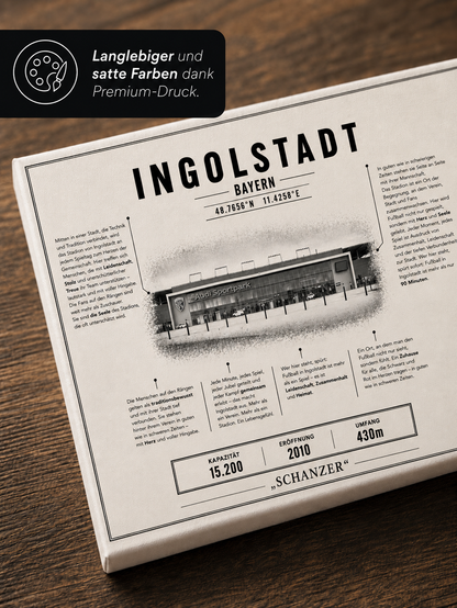 Ingolstadt Stadion Leinwand