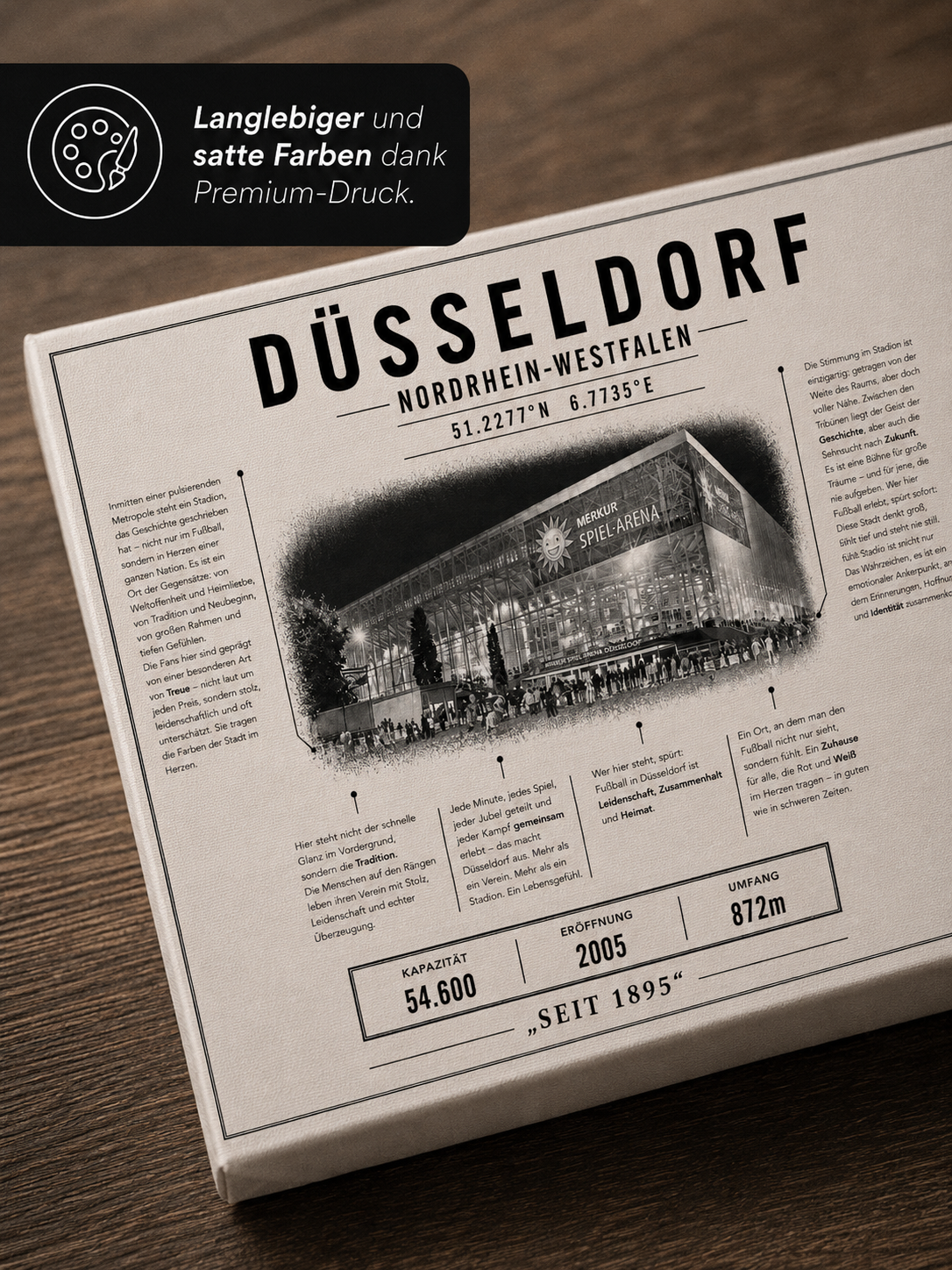 Düsseldorf Stadion Leinwand