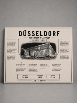 Düsseldorf Stadion Leinwand