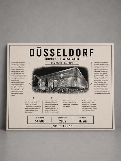 Düsseldorf Stadion Leinwand