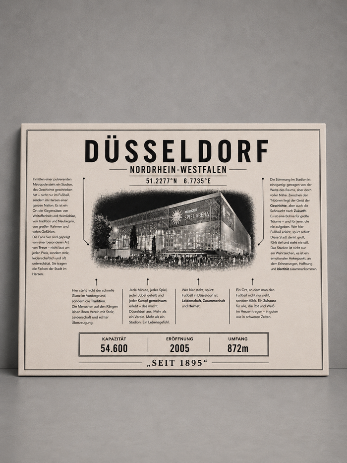 Düsseldorf Stadion Leinwand