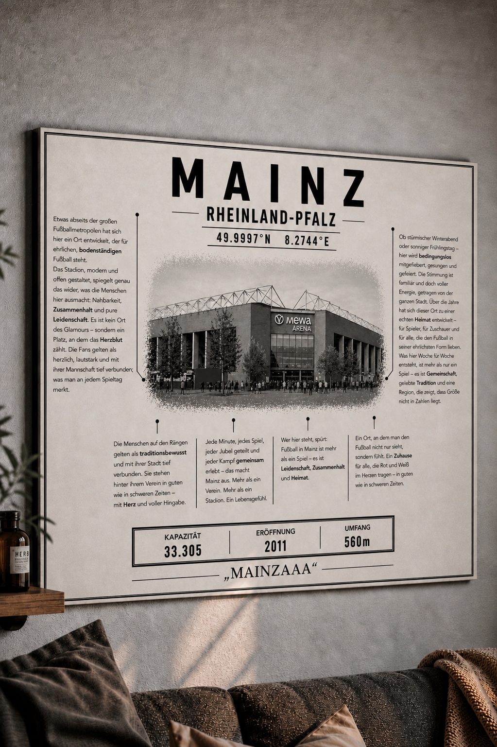 Mainz Stadion Leinwand