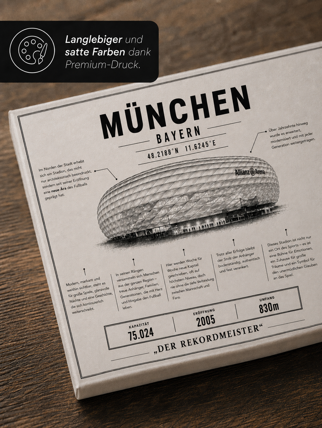 München Stadion Leinwand – Detailansicht 2