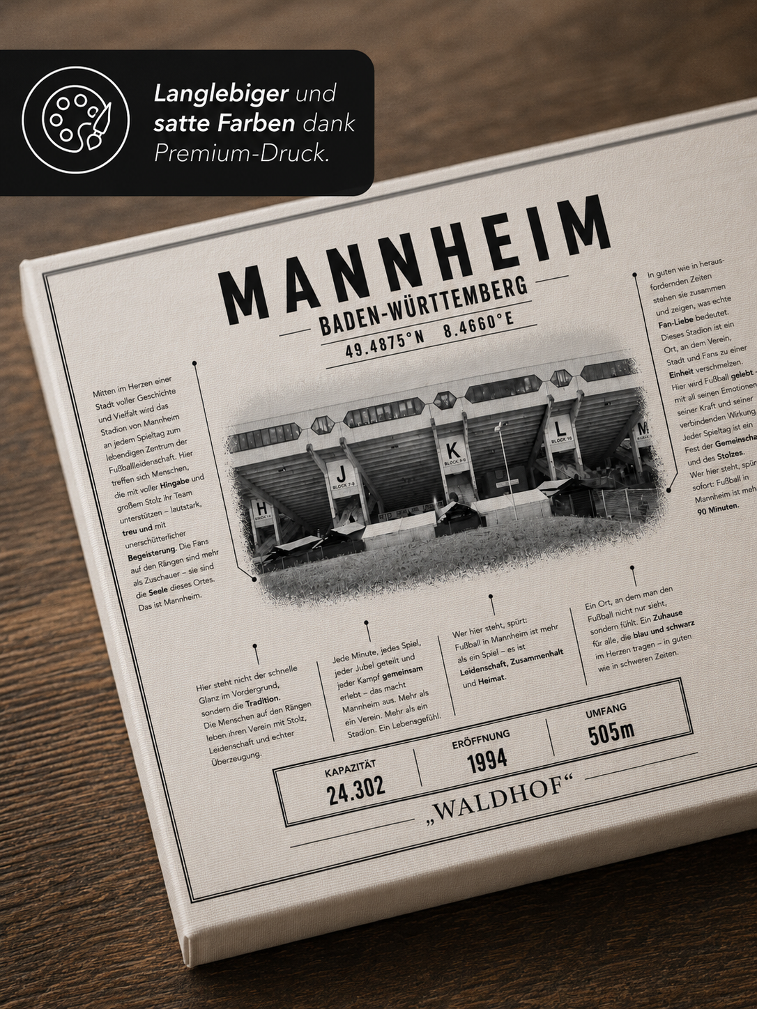 Mannheim Stadion Leinwand – Detailansicht 3