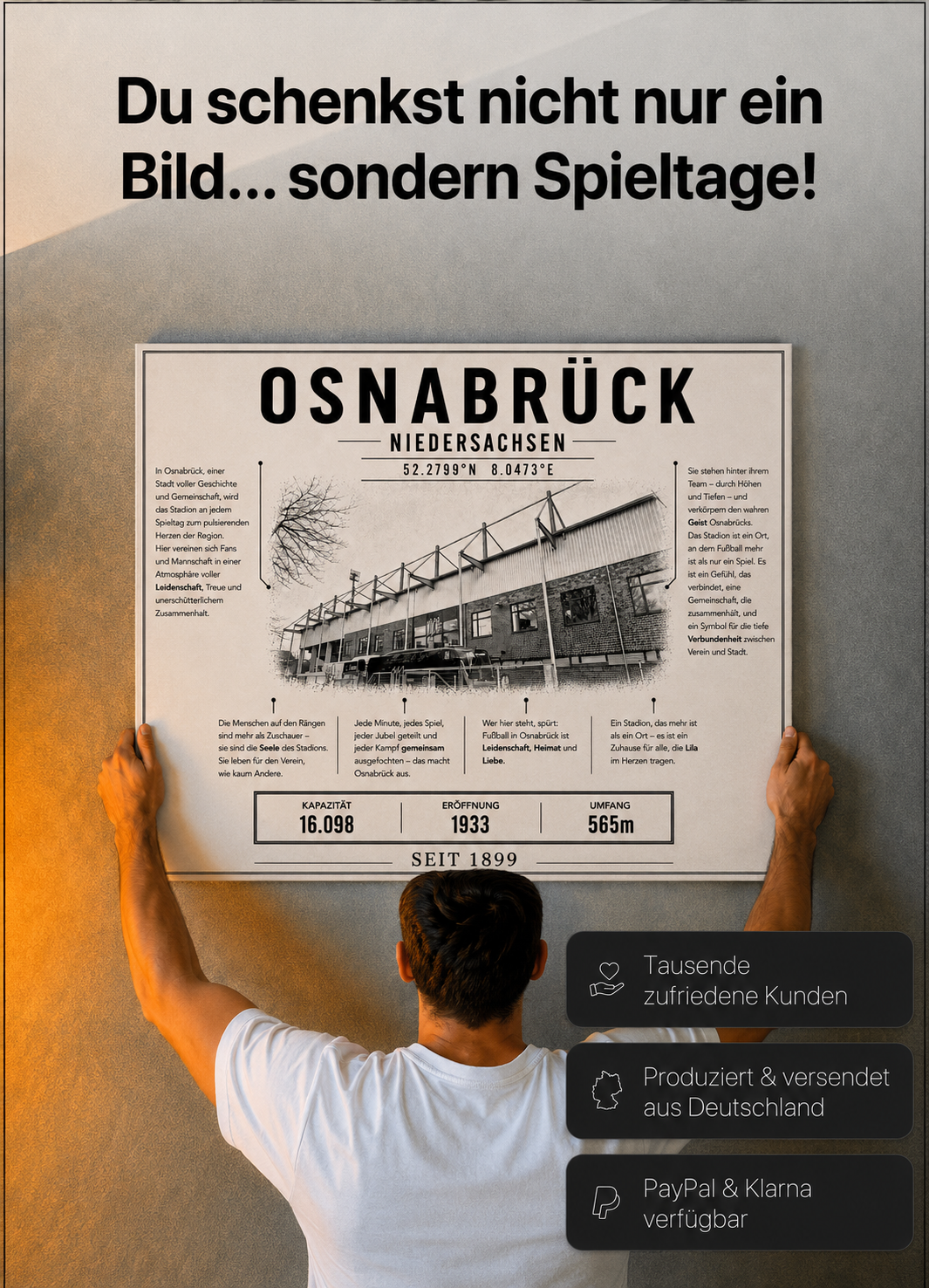 Osnabrück Stadion Leinwand