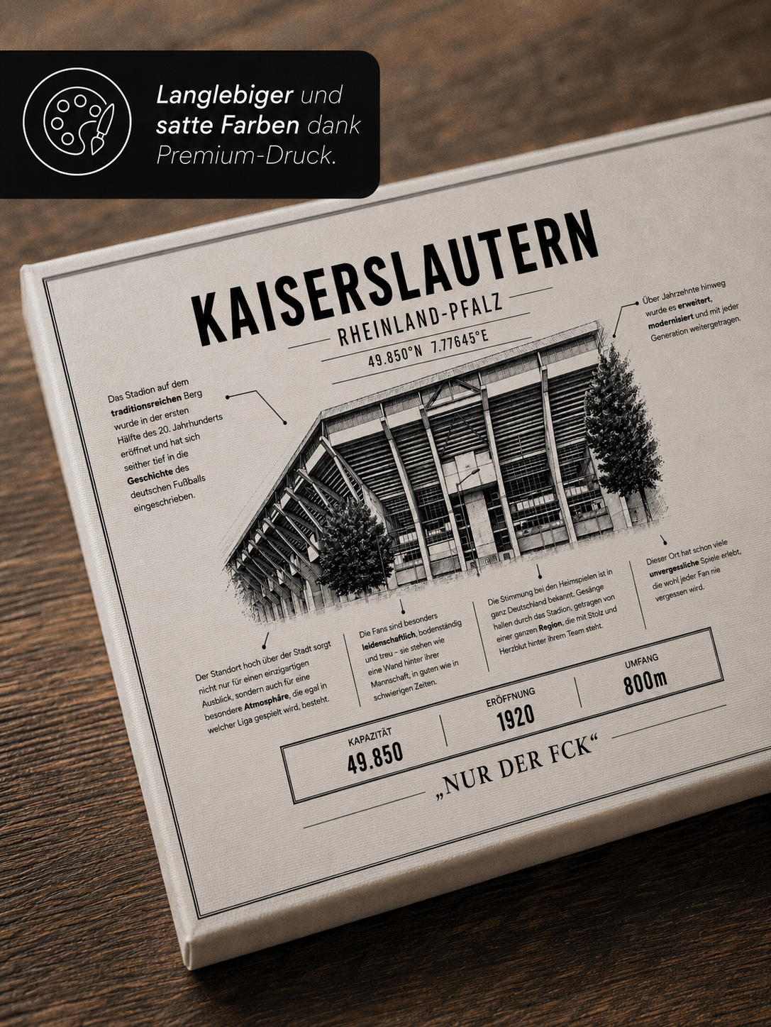 Kaiserslautern Stadion Leinwand