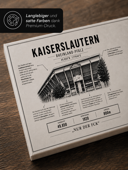 Kaiserslautern Stadion Leinwand