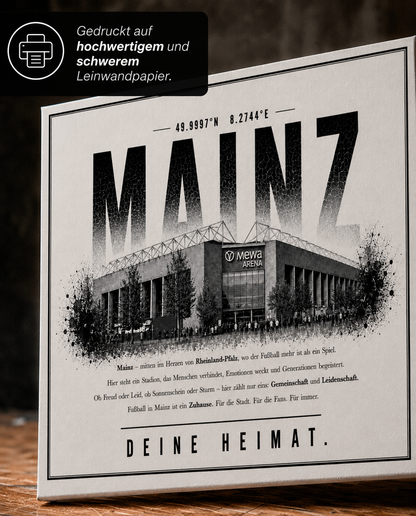 Mainz Stadion Leinwand