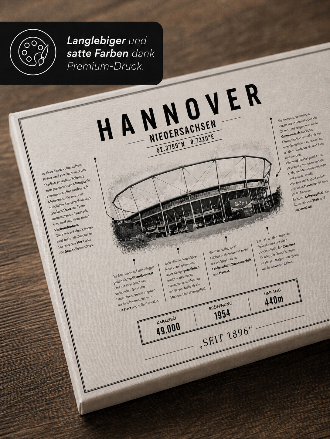 Hannover Stadion Leinwand – Detailansicht 2