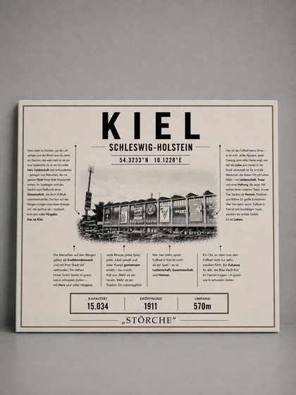 Kiel Stadion Leinwand