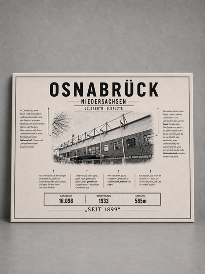 Osnabrück Stadion Leinwand