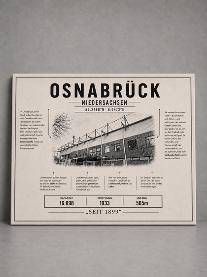 Osnabrück Stadion Leinwand