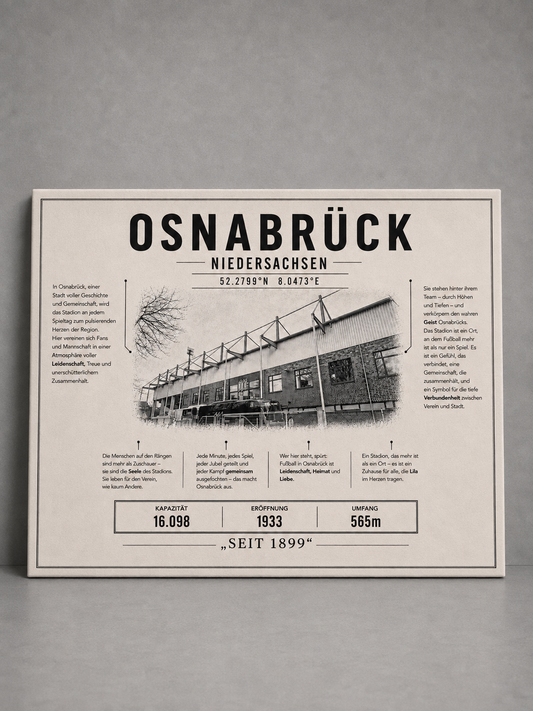Osnabrück Stadion Leinwand