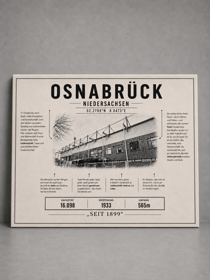 Osnabrück Stadion Leinwand